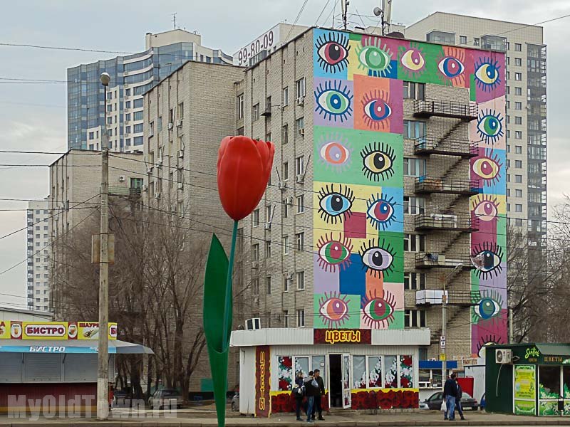 Художественная роспись ''Глазки'' и красный тюльпан на улице Хиросимы,  дом 14.  Фото Волгограда