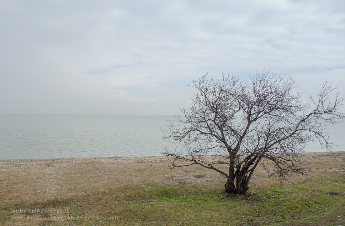 Ейск. Пустой зимний пляж на Азовском море