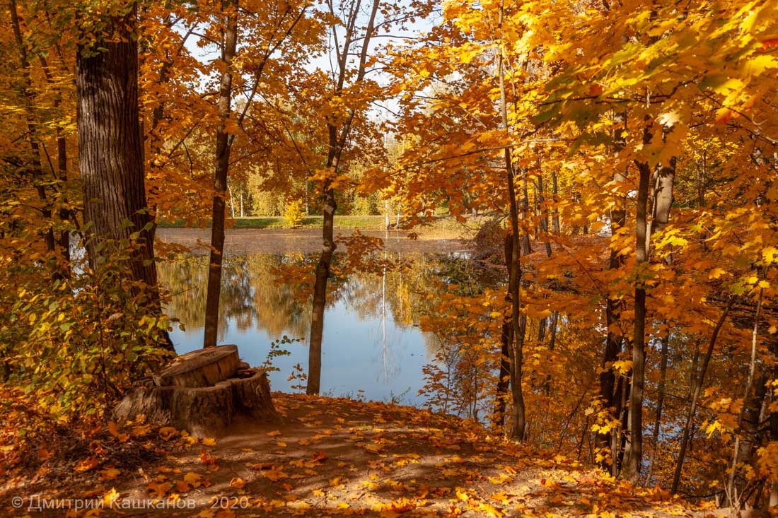 Нижний пруд. Вид от баньки. Болдинская осень. Парк усадьбы А.С.Пушкина
