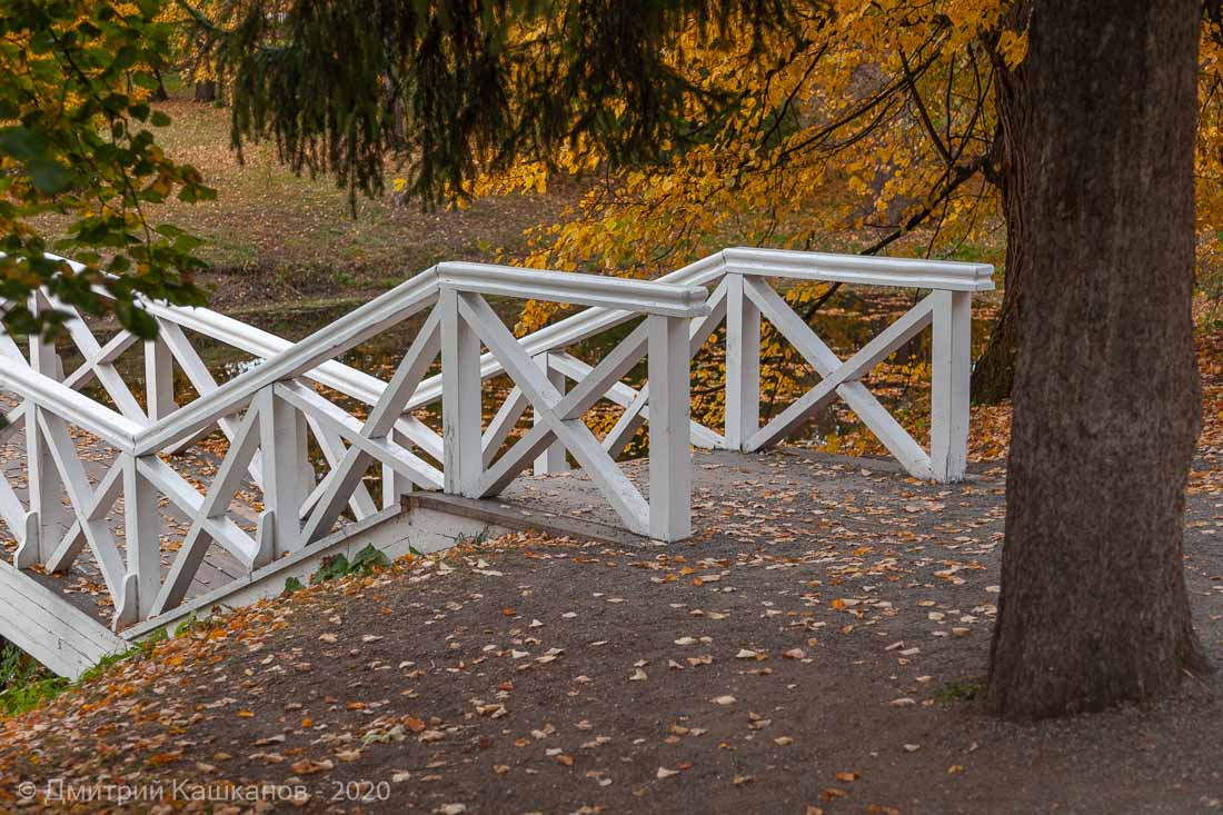 Горбатый мостик. Болдинская осень. Фотографии