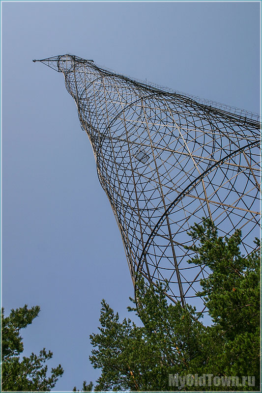 Башня Шухова по сравнению со взрослыми деревьями. Фото