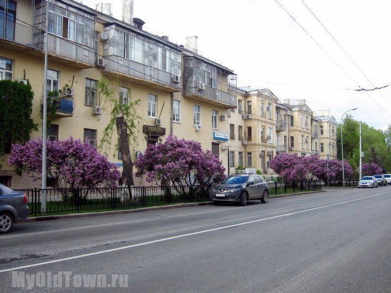 Улица Мира. Фото Волгограда