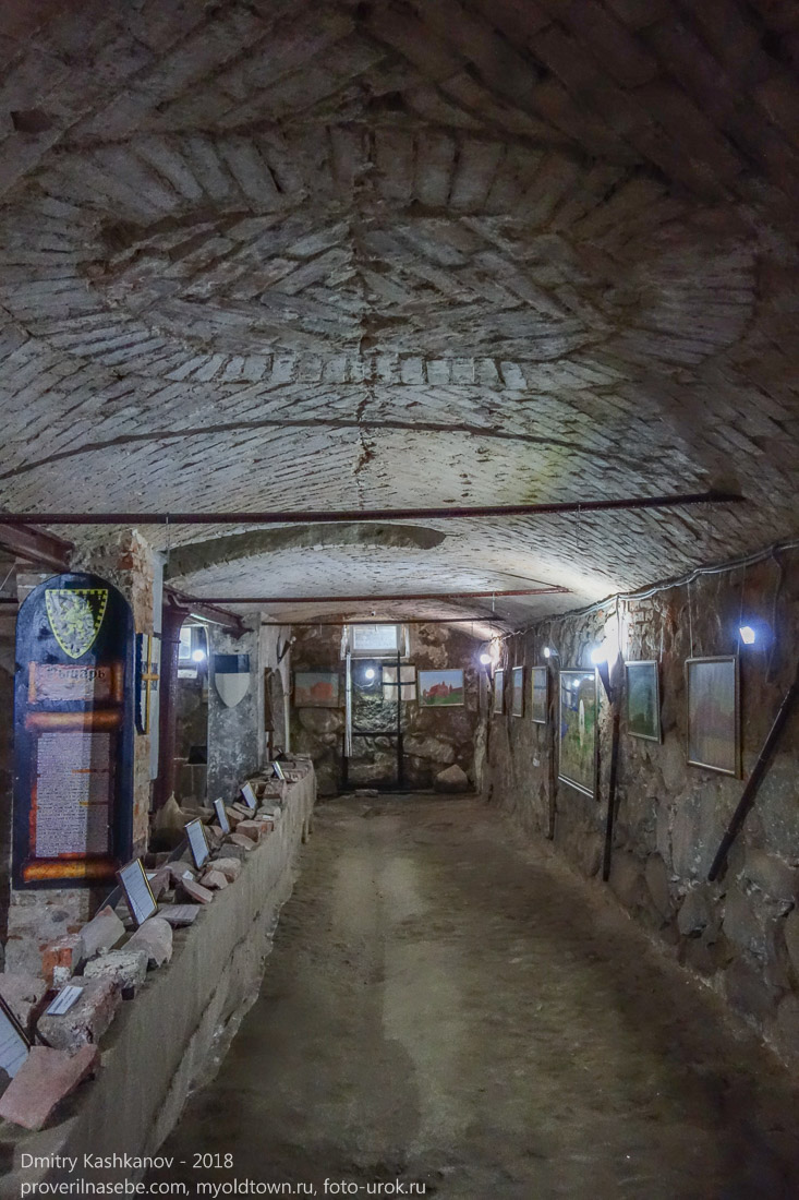 Кирпичный сводчатый потолок подвала Янтарного замка