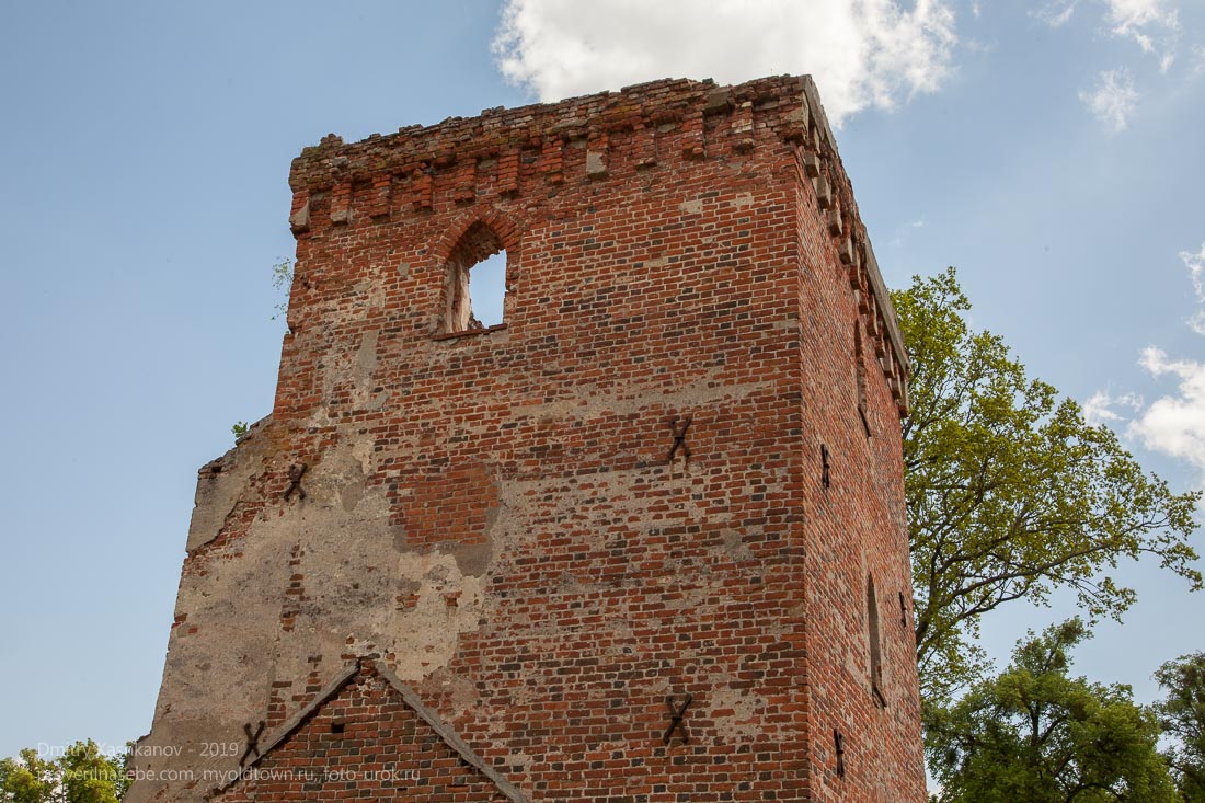 Вершина башни Канта. Руины замка Грос Вонсдорф. Калининградская область