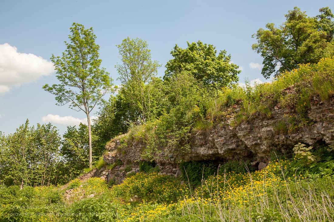 Остатки стены тевтонского замка Грос Вонсдорф. Калининградская область