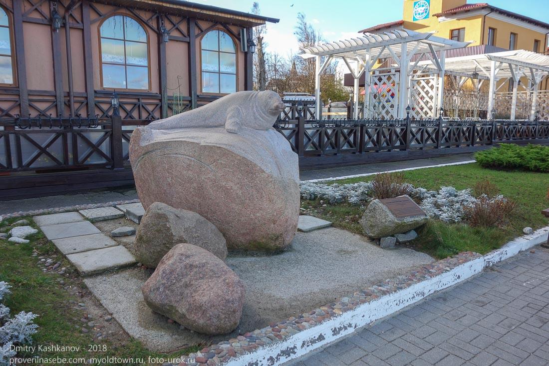 Зеленоградск. Памятник Серому балтийскому тюленю