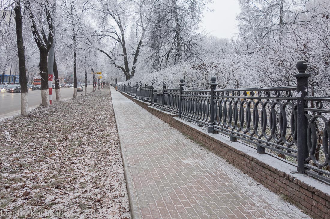 Ограда парка Кулибина со стороны улицы Белинского. Фото