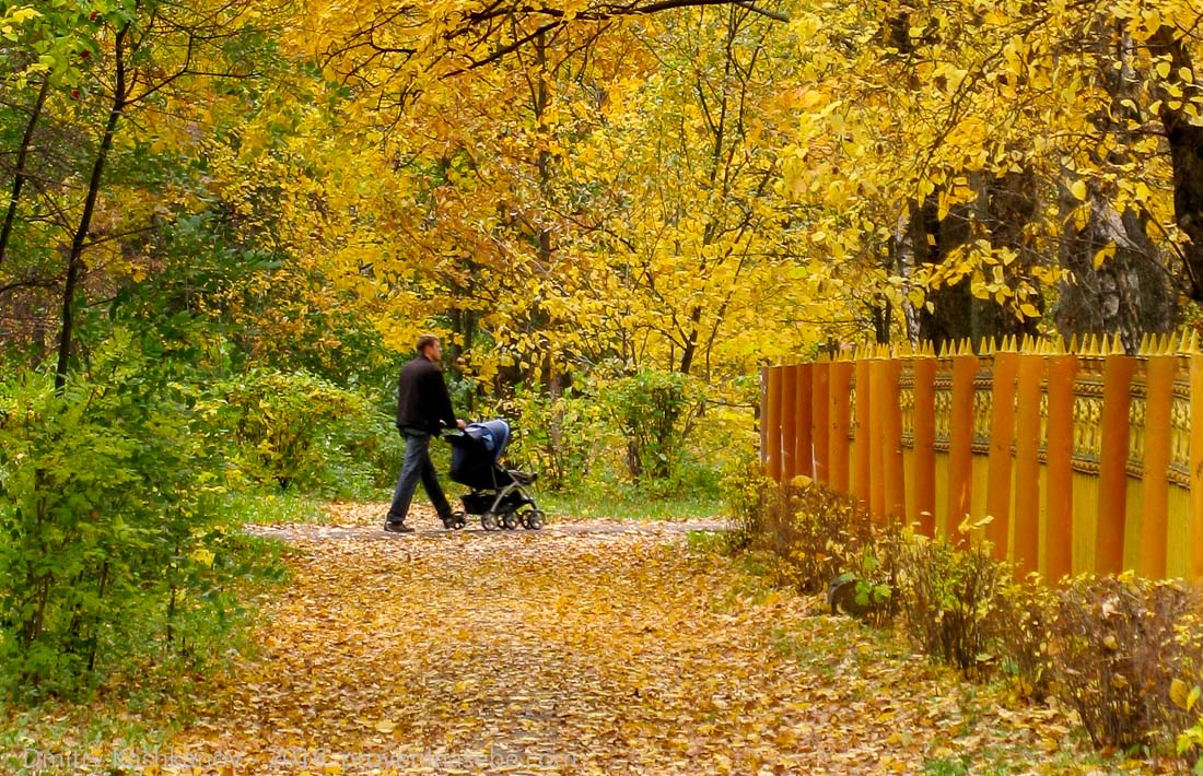Осенняя прогулка в Автозаводском парке. Папа с коляской. Фото